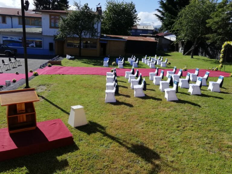 Licenciaturas en Vivo