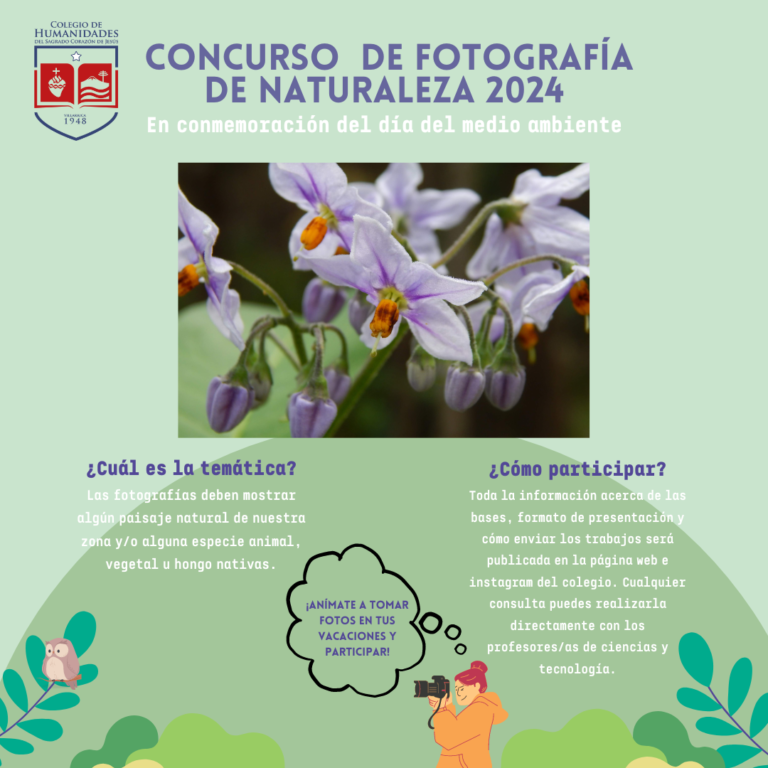 Concurso fotográfico