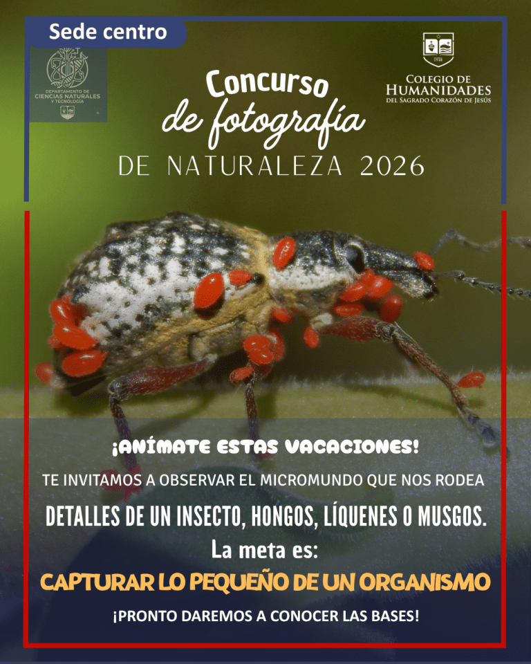 Bases concurso de fotografía 2026, sede centro.
